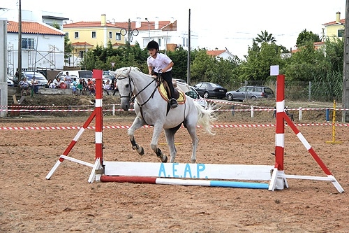 66541 7370598a 6733 4747 ab95 89ae62309ed4 pintas1 66541 7370598a 6733 4747 ab95 89ae62309ed4 pintas1