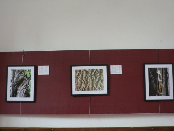 66664 9fcd67f8 4b53 4eda b029 02df3f01a8a9 barcos 66664 9fcd67f8 4b53 4eda b029 02df3f01a8a9 barcos