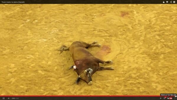 66746 b9f786ed 7afa 4ea0 acb7 73e85546dd6b arena