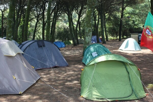 66748 ceefea54 f83a 431f 9059 f03ded13f6b5 camping