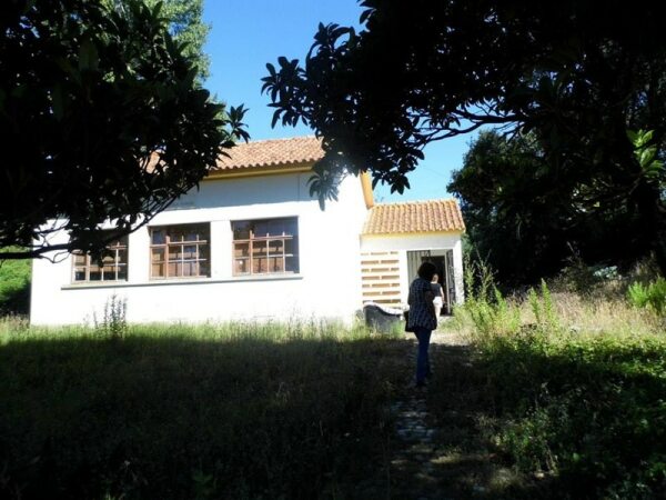 66773 22212c39 8983 4e32 a4a0 9d6854c18aae rede