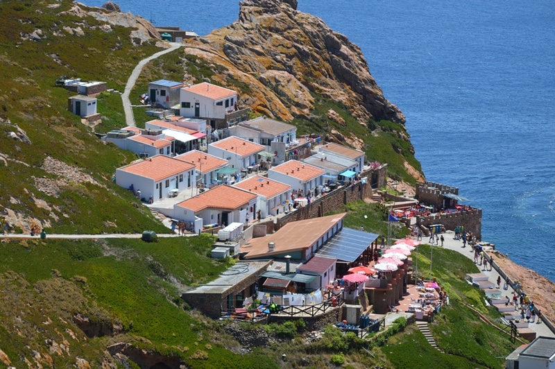 66804-3d8ad7d8-8080-46f3-a8d0-a31d30cd5c97-abrigos