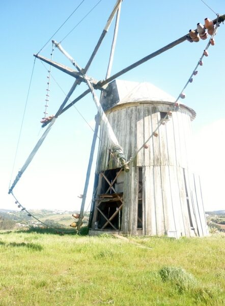 66815 9087ecf3 372d 452c 9213 59b1ff6a5f42 sobral