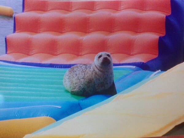 66857 b53f329c 12a8 44f3 b08a 81b0c72e1c86 foca1 66857 b53f329c 12a8 44f3 b08a 81b0c72e1c86 foca1