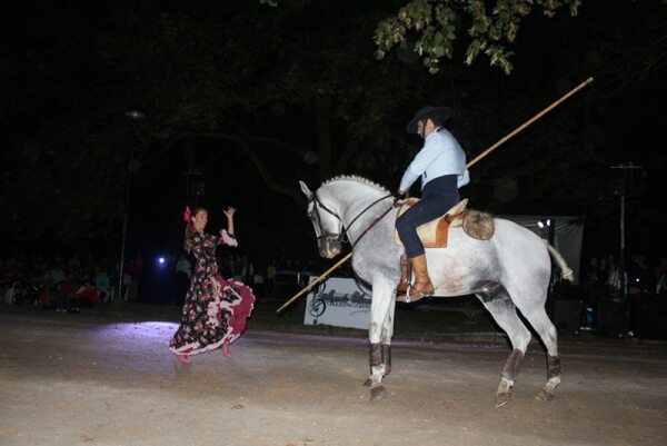 66859 dad549e0 f858 417a 8b04 397c3d1cabb9 cavalo1 66859 dad549e0 f858 417a 8b04 397c3d1cabb9 cavalo1