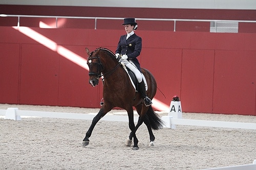 66956 6f30f4b6 ceeb 425f 85ab 93f8b8c0013c ceia