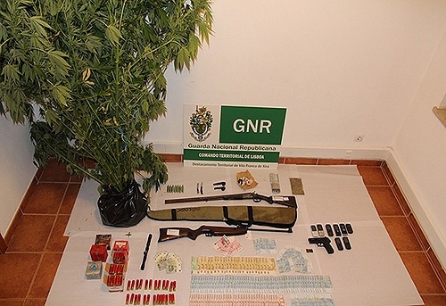 66976 757bbe22 8c1c 4ba2 bfdd 7217e4064204 desmantelada 66976 757bbe22 8c1c 4ba2 bfdd 7217e4064204 desmantelada