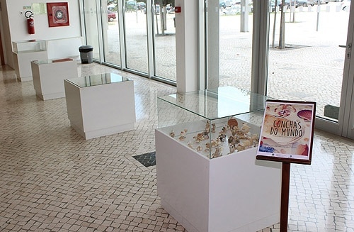 67054 543dcbf5 6545 4791 897a d75eef57293b conchas