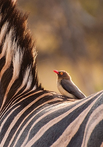 67078 40389d28 113b 4f84 bf75 eb2c61abef13 67078 40389d28 113b 4f84 bf75 eb2c61abef13