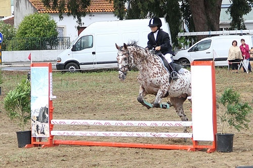 67092 e46b6531 89c7 4483 aa87 c160b8b51f11 pintas 1