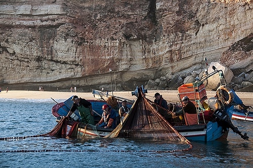 67292 9cf38aee 67f9 4d29 a5ad b38a141c801f pesca