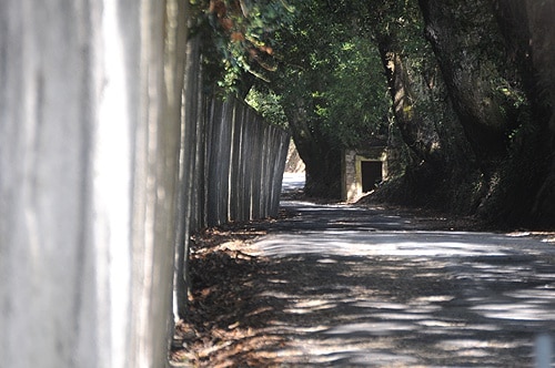 67308-b484e0b9-1c79-48ea-a6c1-68fd3c29c8e9-toma1