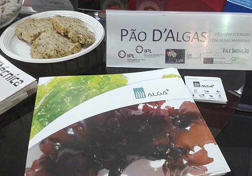 67372 183c37df 3525 4082 91e7 45f628dafd8d algas