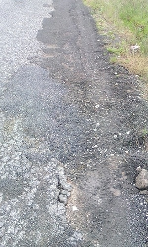 69995 0620de74 ae55 4b99 892c 56ca15756539 toma1