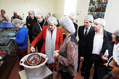 70176-56aace51-bf3b-4cb8-acba-3c6556f79eae-ginja