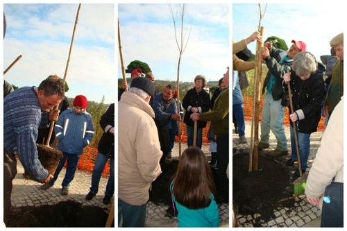 70298 81a9e46b 1c3c 4aa3 8715 a8599f2eac40 plantacao