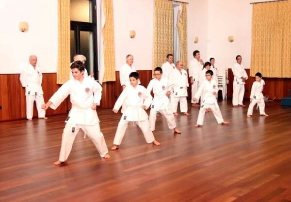 70315 81108049 9e67 4a50 bbe5 529949a63ad1 shotokan