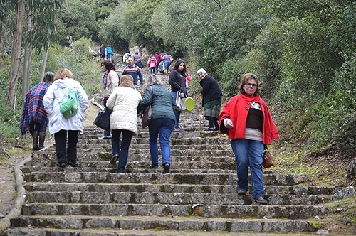 70547 a5639e0e 80e9 439c 81c1 91c05c3e8a7e antao1