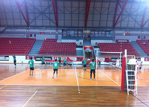 70590 28ea1750 1345 4e4f bf2c bc3d565a5613 juvenis