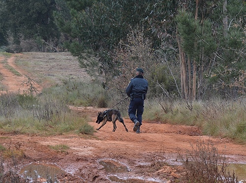 70623 0fba6c7a a0cb 4d39 b0f7 0a22ab8d9b0c desaparecido1