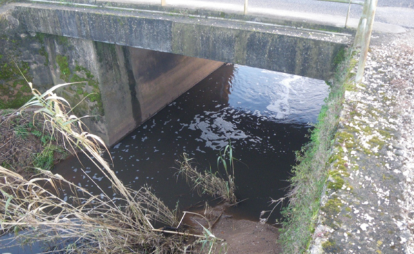 70654 ea98ab58 635b 4e64 8742 6ba8ab227b12 pecuaria