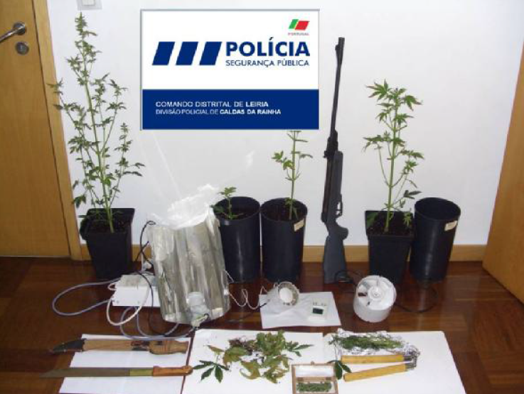 70656-af9529e6-9b39-4d75-b698-5cb5bffae969-psp