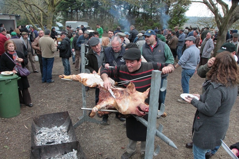 70694-43c39eb8-bc72-42ba-9c9c-345346fc94e4-baracais