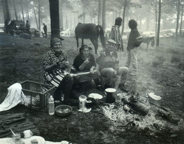 70700 a1cb247e 777e 4703 a9d8 8b397a2e8f09 bras