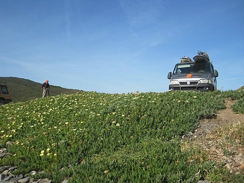 70869 d17ac1df f435 4b3e 99b6 6abd435d23b6 duck