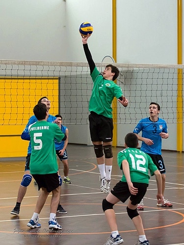 71036 4d57c478 3bcf 4775 8a62 c095da6bf9e4 juvenis