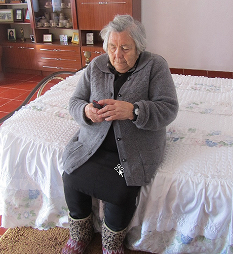 71392 ad3cf6ee a4c4 4df3 a121 f56a729cf419 teleassistencia