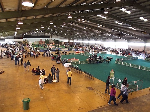 71398 22747220 013a 4887 baba ae4578bc0a25 71398 22747220 013a 4887 baba ae4578bc0a25