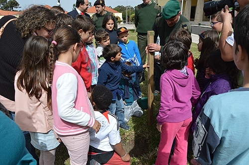 71477 de3774af c75a 4803 ac72 420f930e2fd8 ese 1