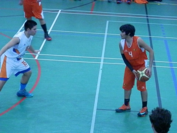 71498 6aaeb974 51f5 4d90 88ca 81c1c8a140e7 basket