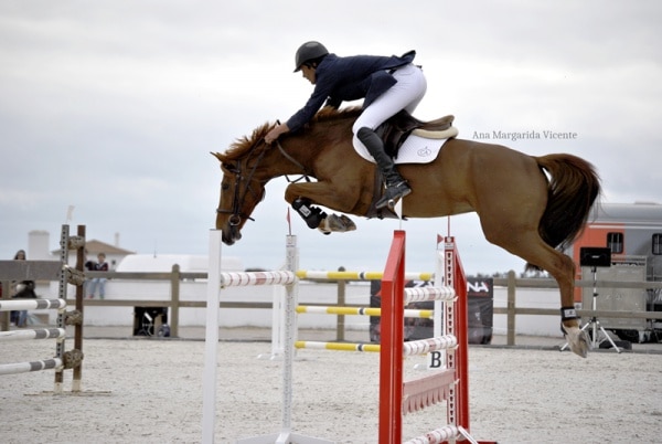 71506 5c4a2ad9 0914 42f4 aef2 9ac923f6e427 hipico2