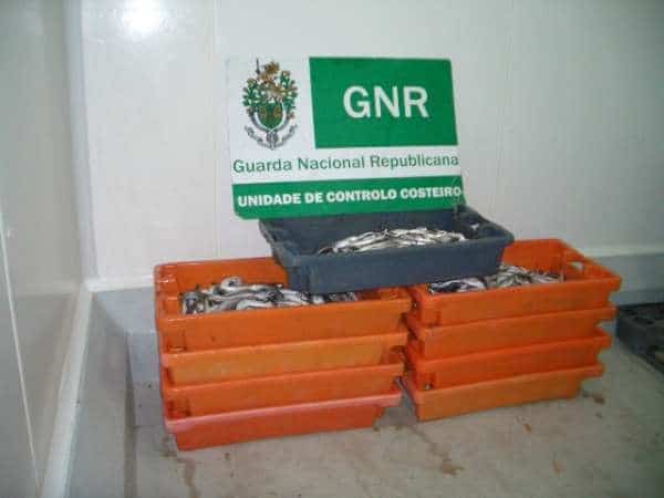 72165 df12db80 9e49 4a3f 9462 b26223b0c483 pescada