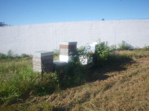 72172 4ed31028 0c7a 4219 82d8 d3397a96d0d2 gnr