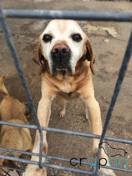 72201 428997e8 1692 4637 894c 43e42b9967a9 crapaa 72201 428997e8 1692 4637 894c 43e42b9967a9 crapaa