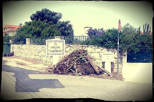 72260 db6fdc4f 8b49 468c 80d9 173d6300cf69 nadadouro