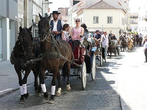 72264 88cef627 133a 48f0 9fd5 b218398e0b56 equestre