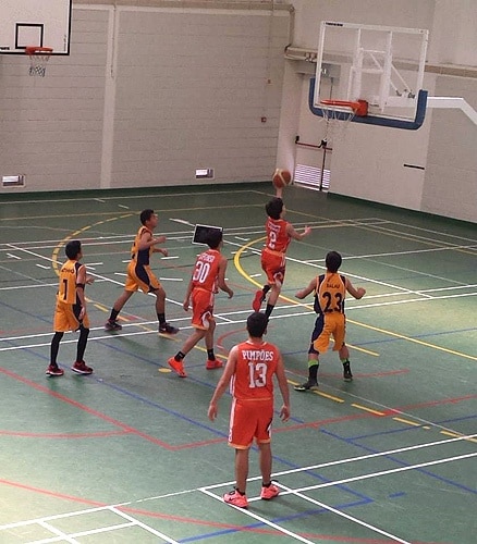 72309 dc612140 a5b1 4822 b41d f7d1a9c0b431 basket