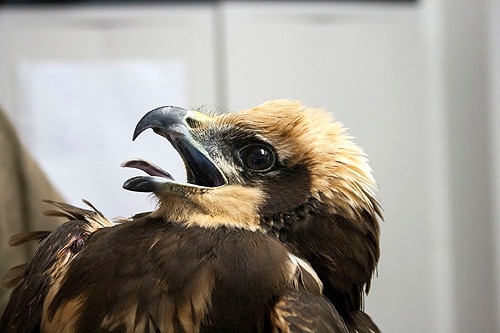 72364 f4f1f3a8 22e4 4e7b a429 e2ff23bf3d08 gradil 72364 f4f1f3a8 22e4 4e7b a429 e2ff23bf3d08 gradil