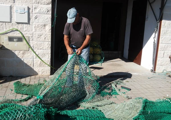 72635 13fb1bc9 a87c 440e 92bc ed3ffc6bc368 ratazanas