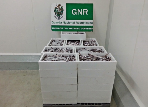 72656 6d744e87 b672 4783 a375 acb701e1d608 vidais