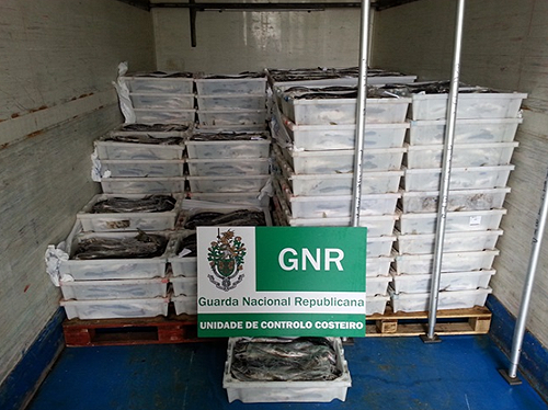 72660 df4fe9bc 6b41 402c ac42 369f80d50256 carapau