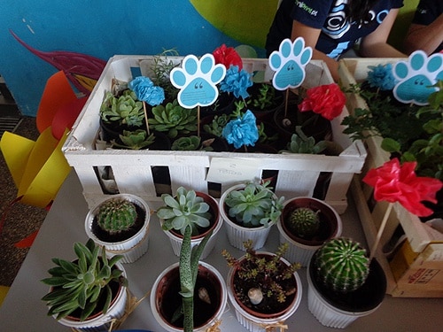 72752-9c25aa3c-a01a-4d2d-b974-3320c3885477-hortinha