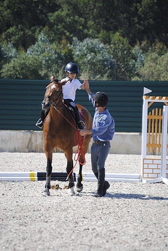 72797 7ef112f5 09fc 4c32 923f 3f6116d3a2c3 ceia1