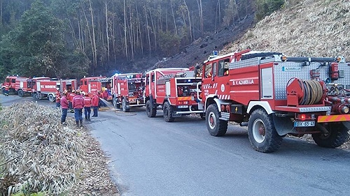 72819-480caddd-985a-4b60-9222-2996bddb5e10-bombarral