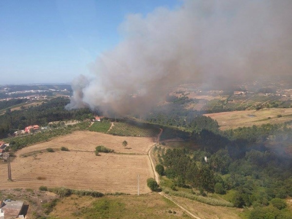 72941 308d62fb 1d60 47d3 af0a d8b90ea53627 primeira2