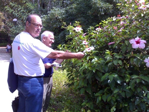 72970 4bd5713c a76f 4e26 a71f 288bd60583b3 nostrum1